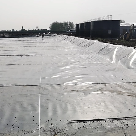 difference between HDPE liner and PVC liner.png