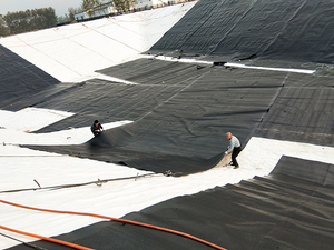 2.0mm ASTM Impermeable Waterproof HDPE Geomembrane