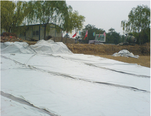 300GSM Flat Drainage Composite Geomembrane Liner