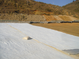 GCL construction in landfill project.jpg