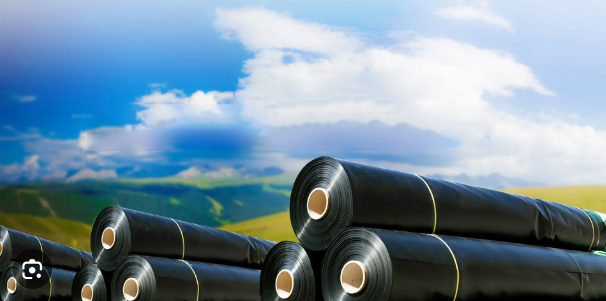 What is a geomembrane used for