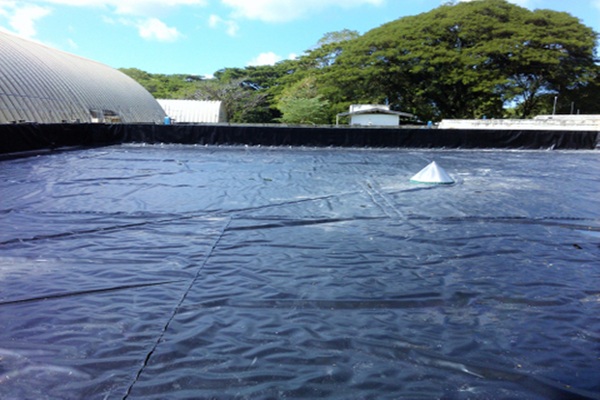 HDPE geomembrane