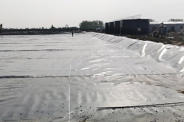 HDPE geomembrane