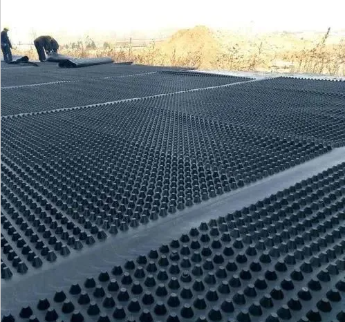 10mm Dimple Plastic HDPE Drainage Sheet Board for Roof Garden