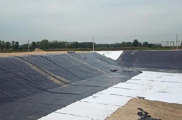 HDPE geomembrane