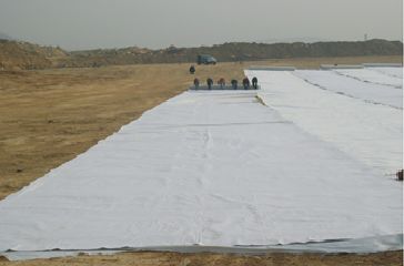 Geotextile