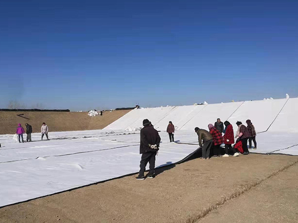 Geotextile construction