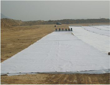 Driveway Geotextile Installation
